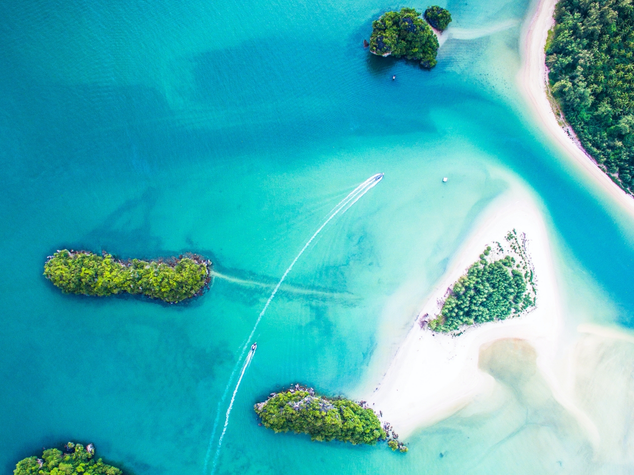 listing by ProfileVibe